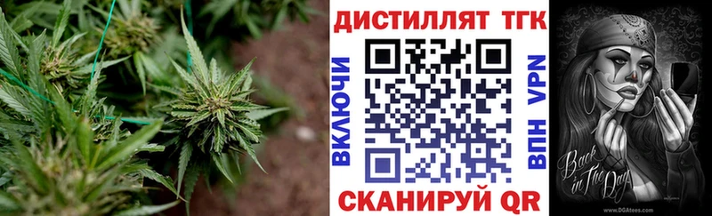 где можно купить наркотик  Кызыл  ТГК концентрат 